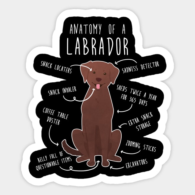 Chocolate lab decal cheap